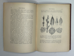 Кайгородов. Д. Из зелёного царства.Популярные очерки из мира растений. СПб., 1912
