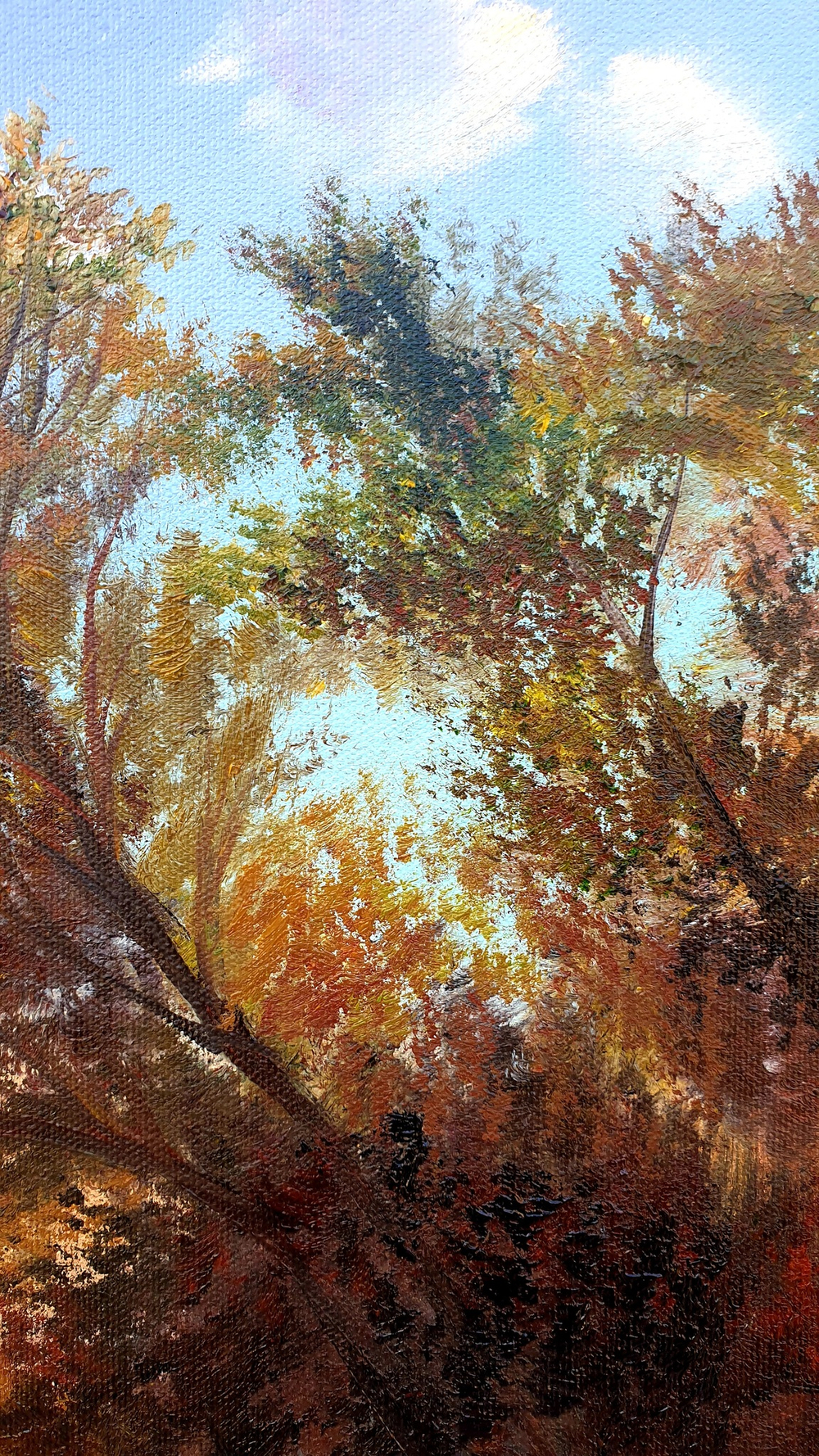 Пейзаж с лодками