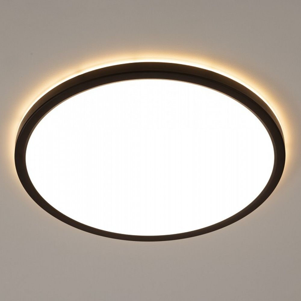 Накладной светильник Citilux Бейсик Лайн CL738321EL