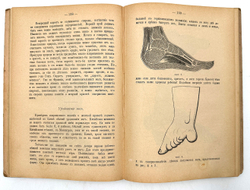 Спутник женщины. Настольная книга для женщин. СПб.,Тип. М. Розеноер, 1898 г.