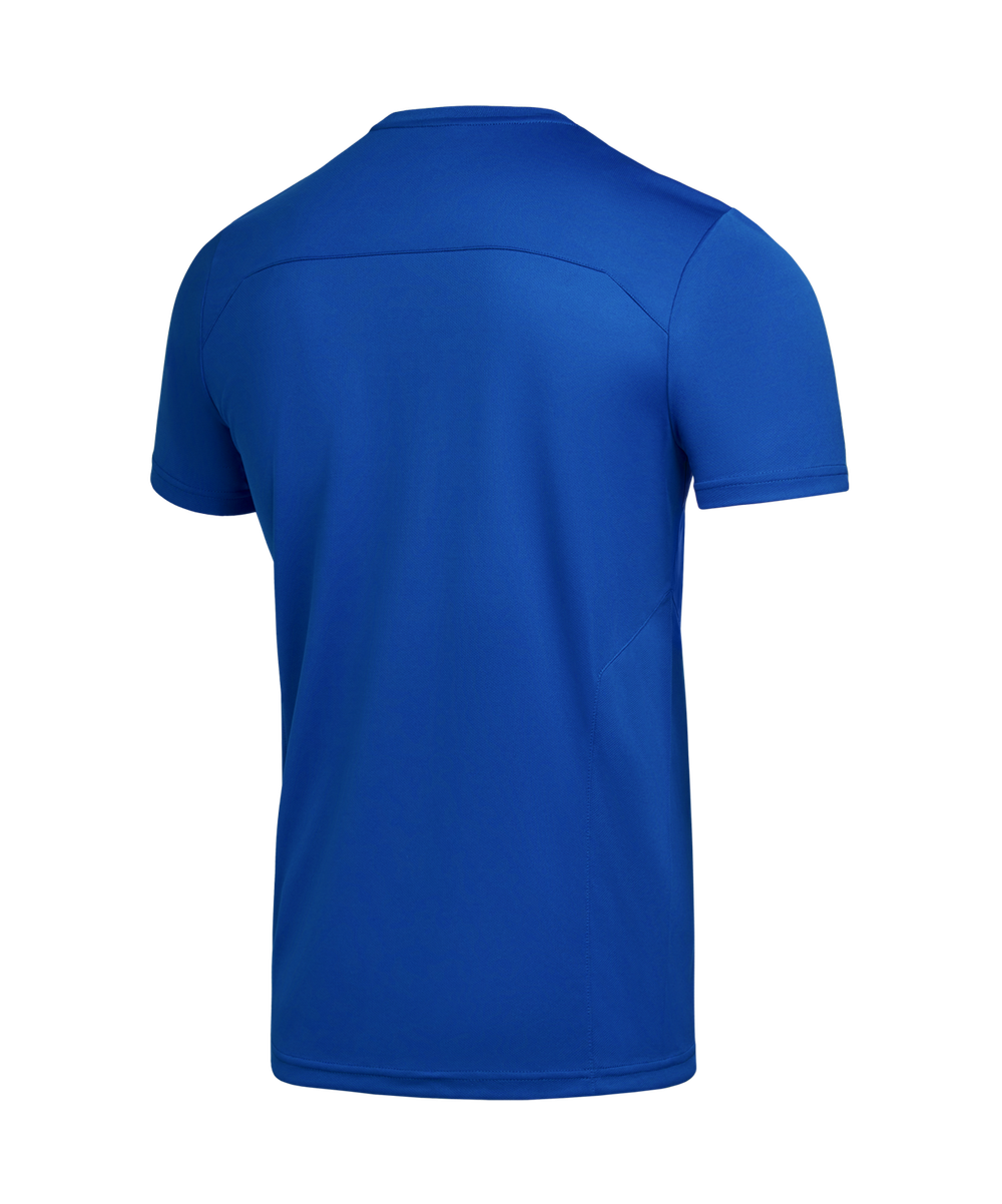 Футболка тренировочная DIVISION Training Tee, синий