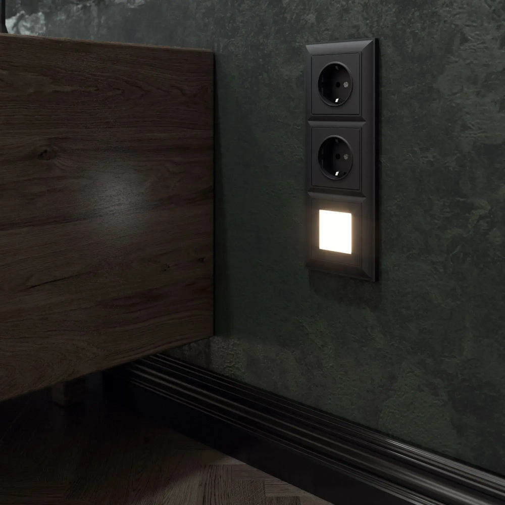 Розетка с заземлением и шторками (черный матовый) W1171108