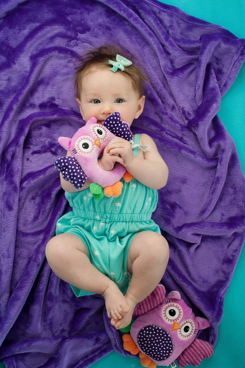 Погремушка Zoocchini Сова