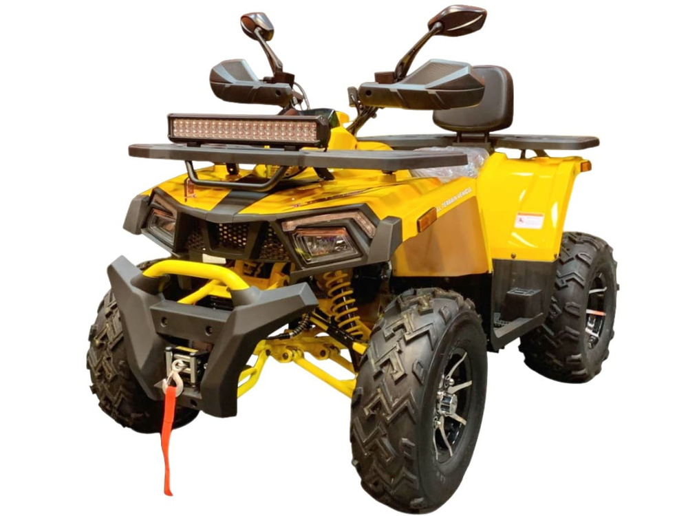 Квадроцикл MOTOLAND Wild Track X Pro 200 (баланс. вал)