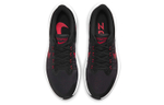 Кроссовки Nike Zoom Winflo 8