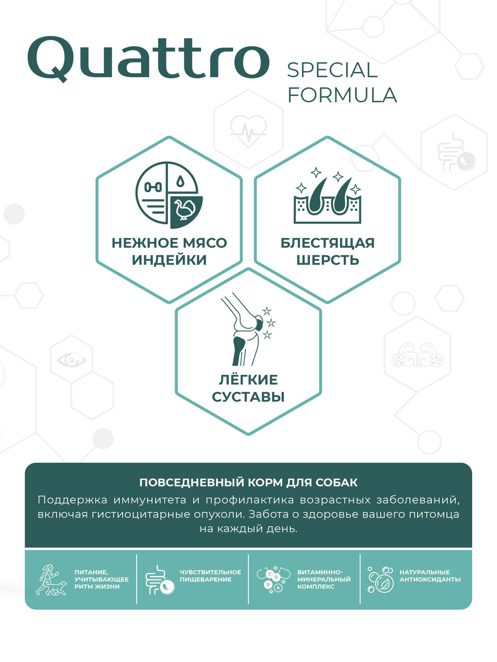 Корм для собак мелких пород SF Immuno Balance, (гистиоцитарные опухоли), 800 гр, QUATTRO