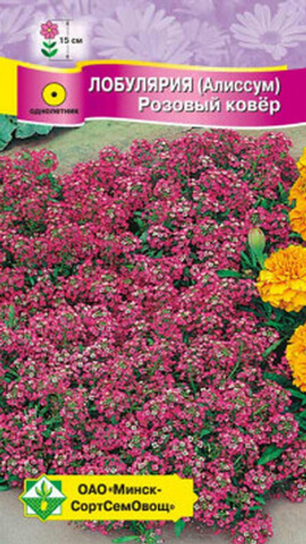 Лобулярия морская "Розовый ковер" 0.2г, Германия.