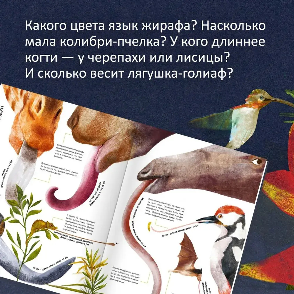 Самые удивительные животные в натуральную величину