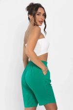 Шорты Энди (зеленые) Ш13989-25М LT Collection