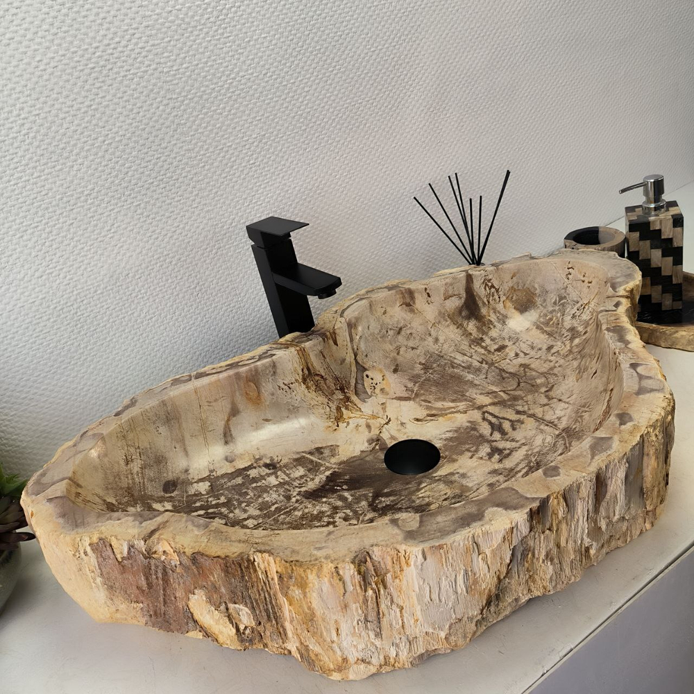 Раковина из окаменелого дерева FossilBasin OD-62435 81*49*15