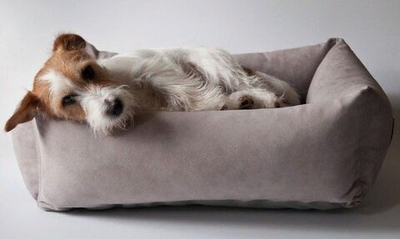 Storytails лежанка премиум-качества из Турции, MUSHU прямоугольная из велюр, 70x60x23