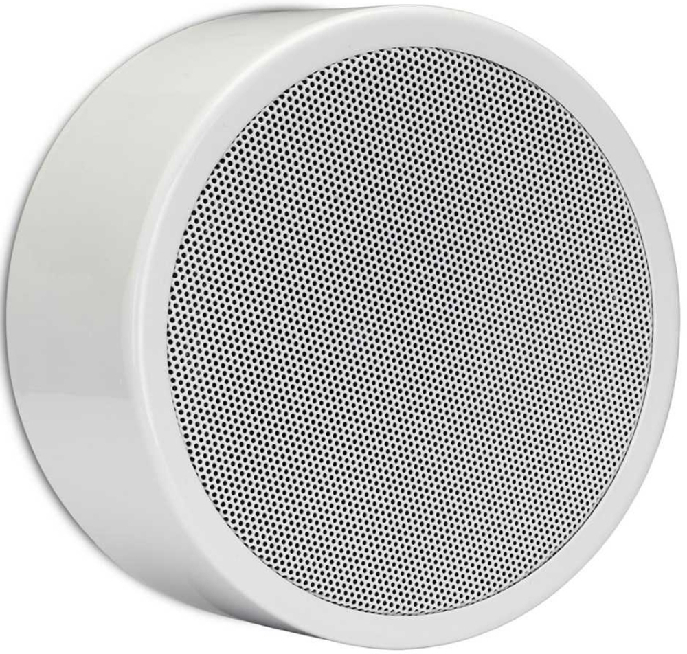 Акустическая система  BIAMP EN-SM6T10-W