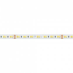 Лента светодиодная Arlight RT открытая 024508(2)