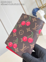 Louis Vuitton Passport Cover