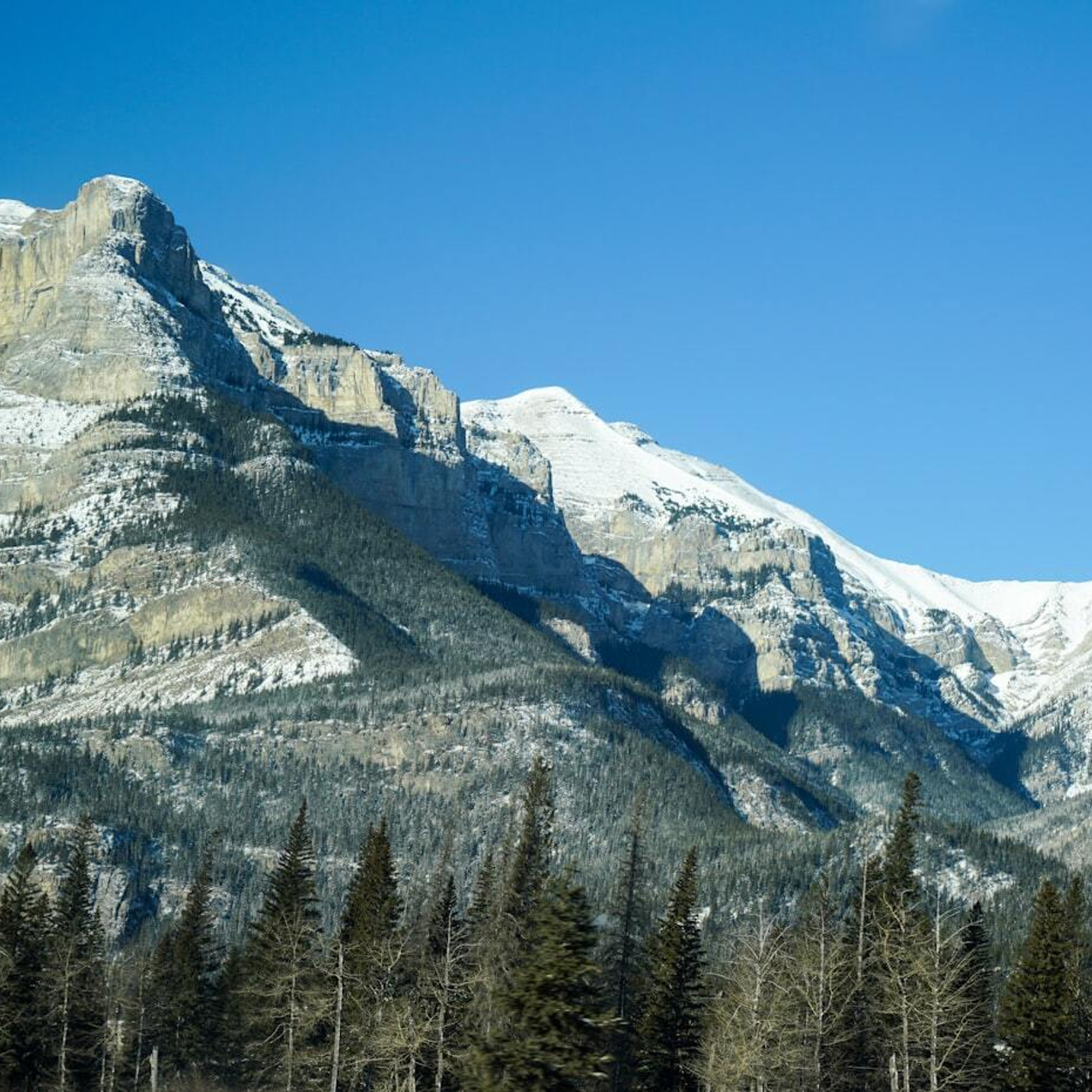 Откройте мир с нашими уникальными турами и круизами!