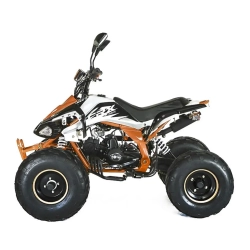 Квадроцикл MOTAX ATV T-Rex-LUX 50 сс