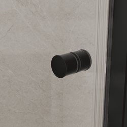 Душевая дверь Dolphin TN-03B (Прозрачное, 900)