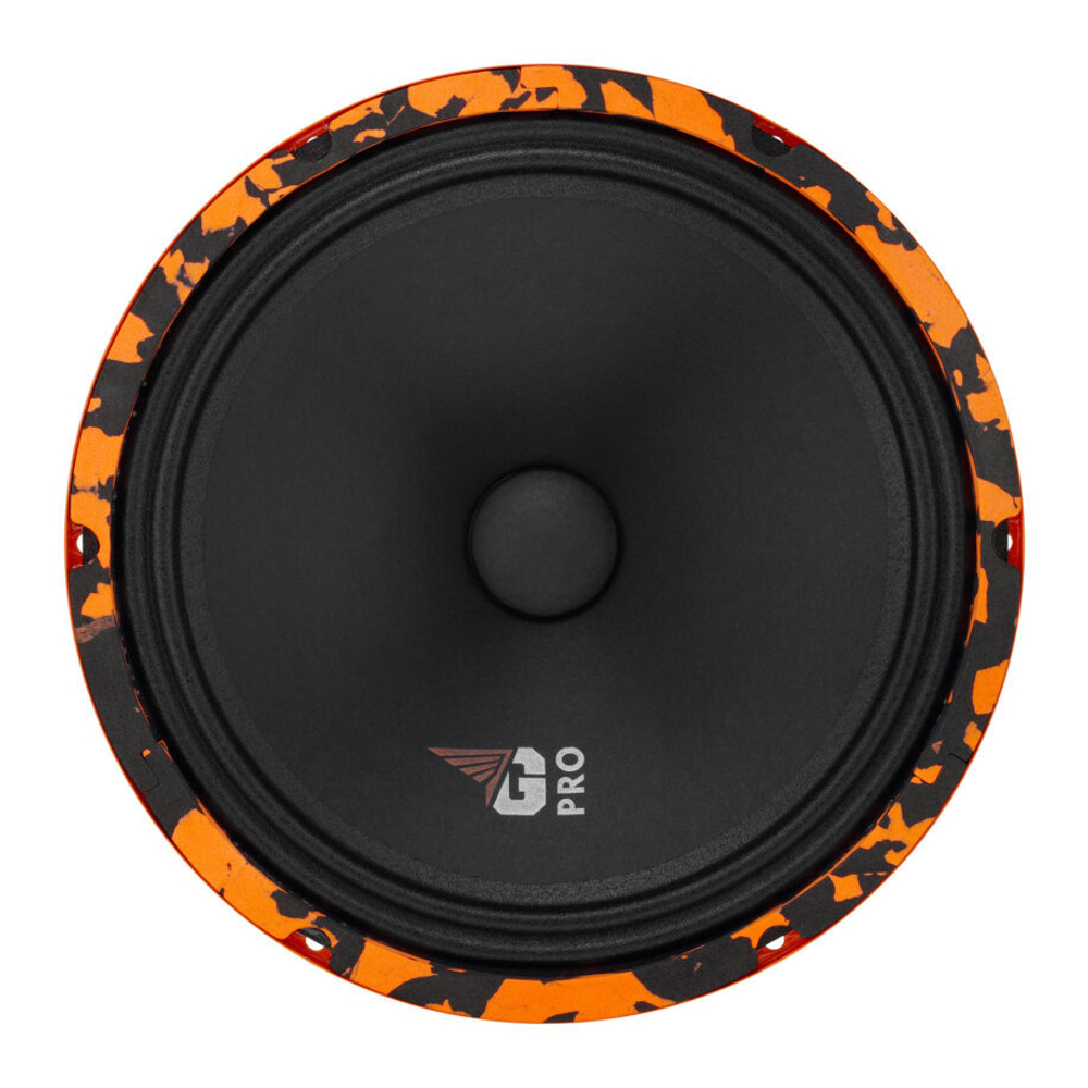 DL Audio Gryphon Pro 250 Эстрадная акустика 25 см. (10")