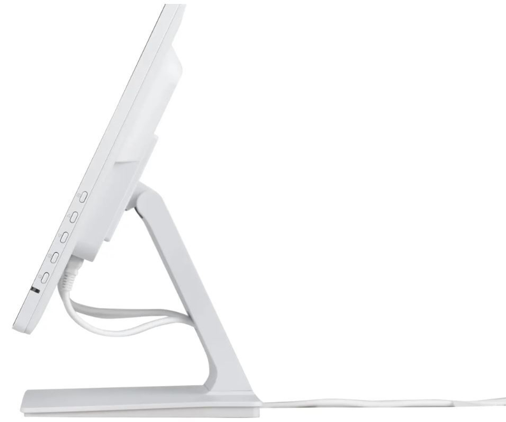 Монитор 23,8" Iiyama PROLITE T2452MSC-W1