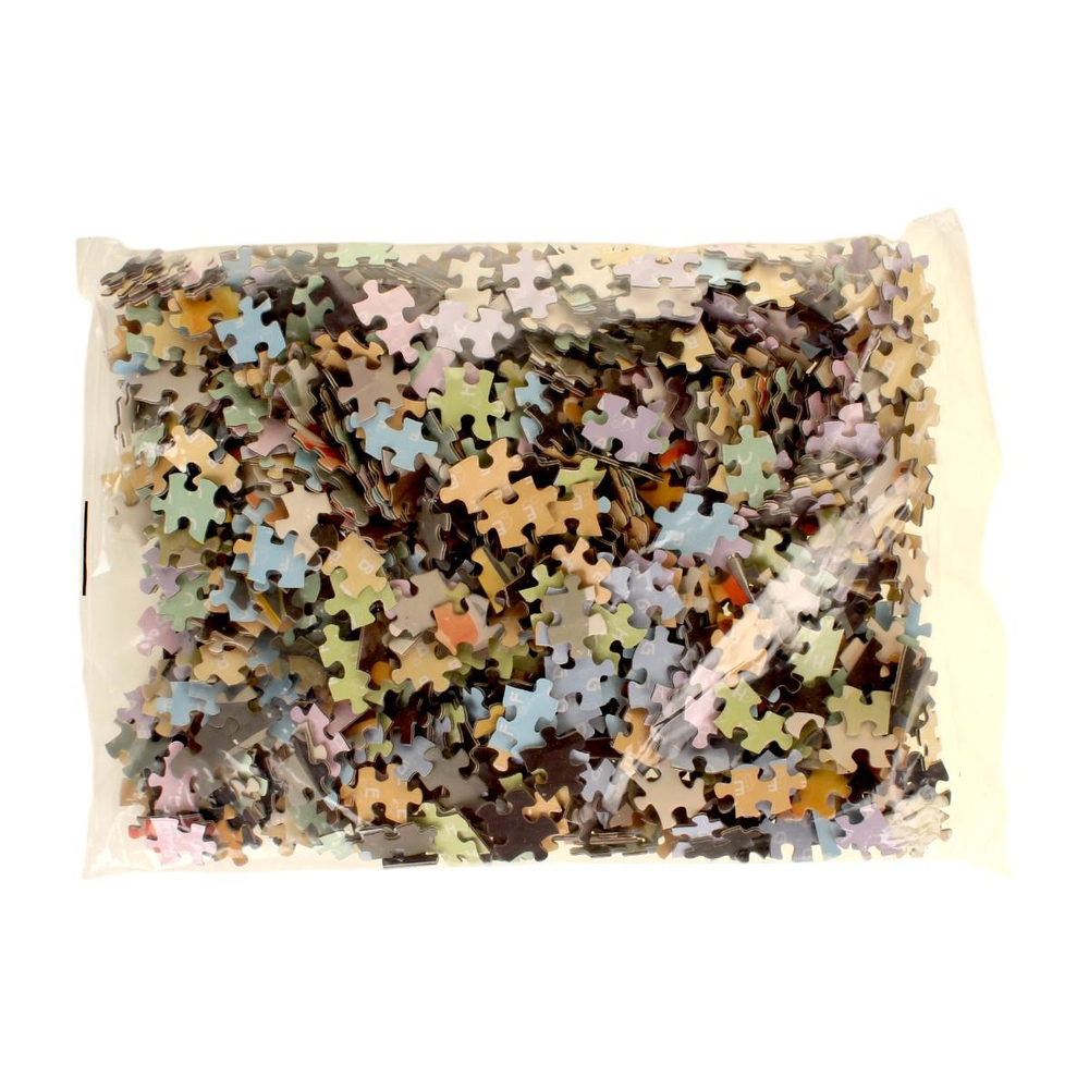 Пазл Тукан 1000эл., коробка C-42096