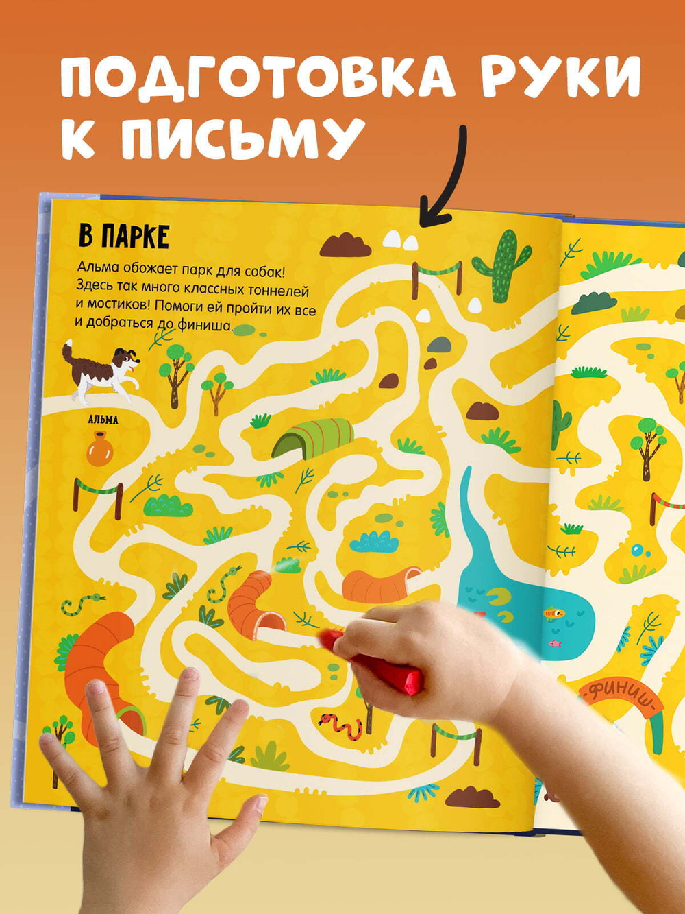 Лабиринты про собак