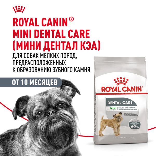 Сухой корм Royal Canin Mini Dental Care для собак мелких размеров, предрасположенных к образованию зубного камня