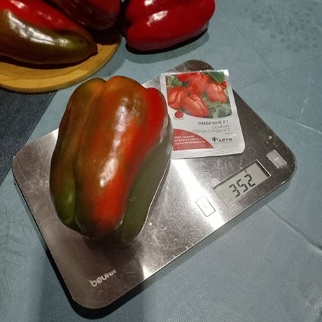 Cемена перца сладкого Омброне F1,  Sakata,  5 шт.