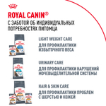 Royal Canin Maine Coon Adult Мейн Кун Эдалт Корм сухой для взрослых кошек породы Мэйн Кун 2кг