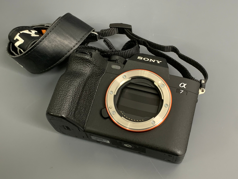 Sony A7 IV 5000 кадров