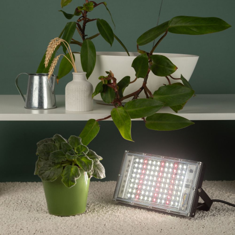 Фитопрожектор для растений светодиодный ЭРА FITO-80W-Ra90-LED-Y полного спектра