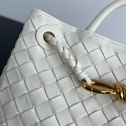 Bottega Veneta Small Andiamo 25 cm