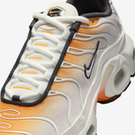 CD0609-800 Кроссовки Nike Air Max Plus