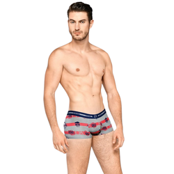 Мужские трусы хипсы серые с принтом Cool Forever Doreanse 1737