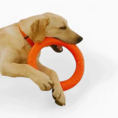 Игрушка «Кольцо»