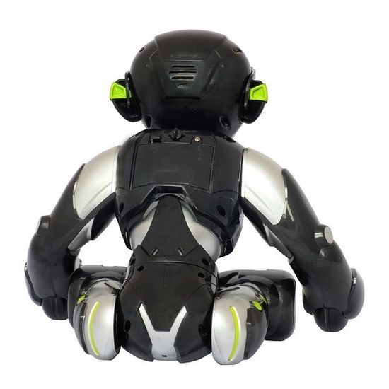 РАДИОУПРАВЛЯЕМЫЙ РОБОТ-ОБЕЗЬЯНА LENENG TOYS K12 ORANGUTAN