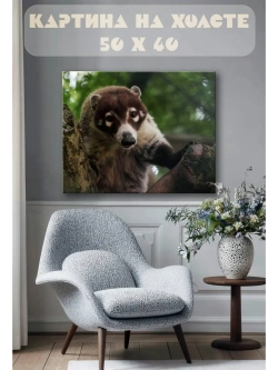 Картина на стену 40 X 50 Енот носуха