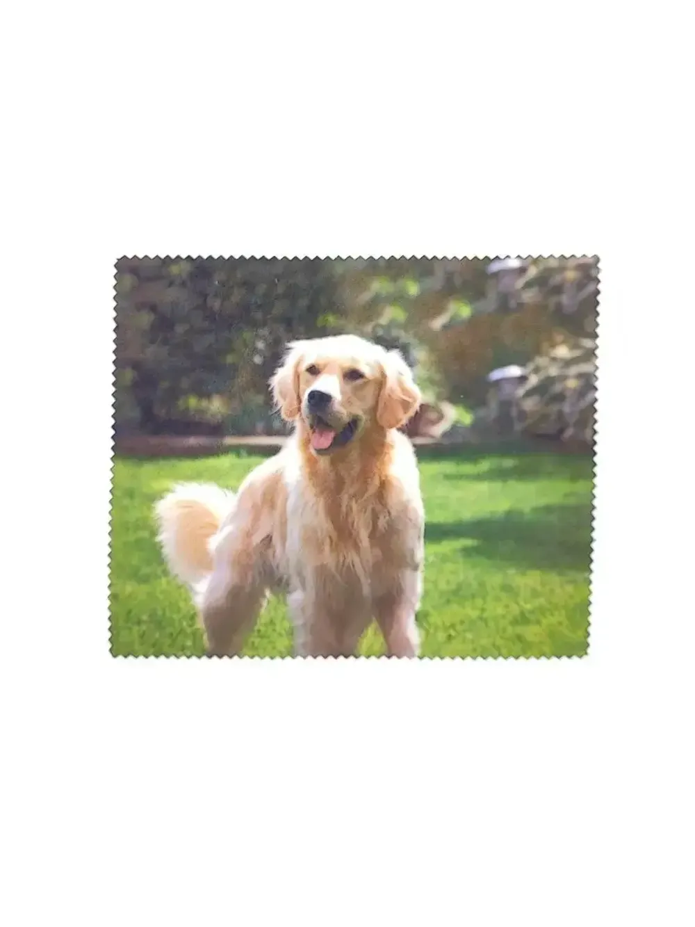 Футляр для очков