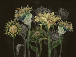 Коллекция SUMMERTIME