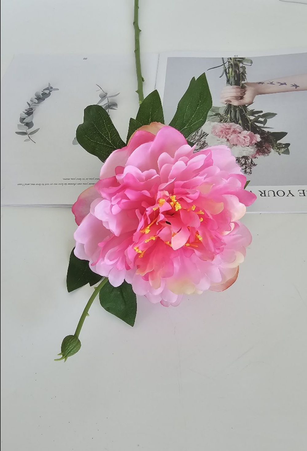 Пион / Арт 2558