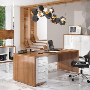 Кабинет руководителя Асти (Эд)