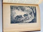 "Рассказы из Русской истории". Б.Павлович. 1900 г.