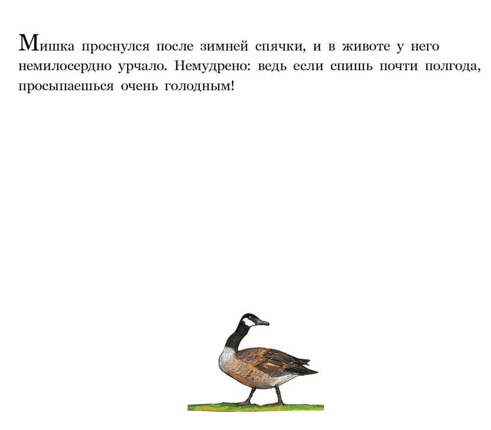 Медвежье чудо (2-е изд.)