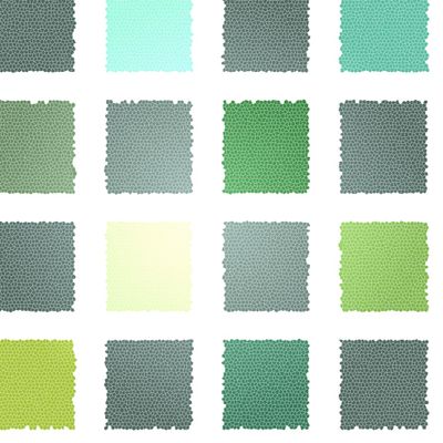 Мозаичная клетка