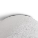 Потолочный светильник Freya FR5428CL-01W