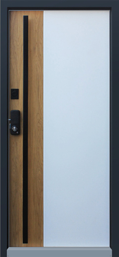 Стальная дверь "Дипломат". Заказная модель.