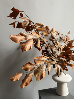 Бук стабилизированный оранжевый