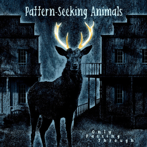 Pattern-Seeking Animals / Only Passing Through (2LP+CD)