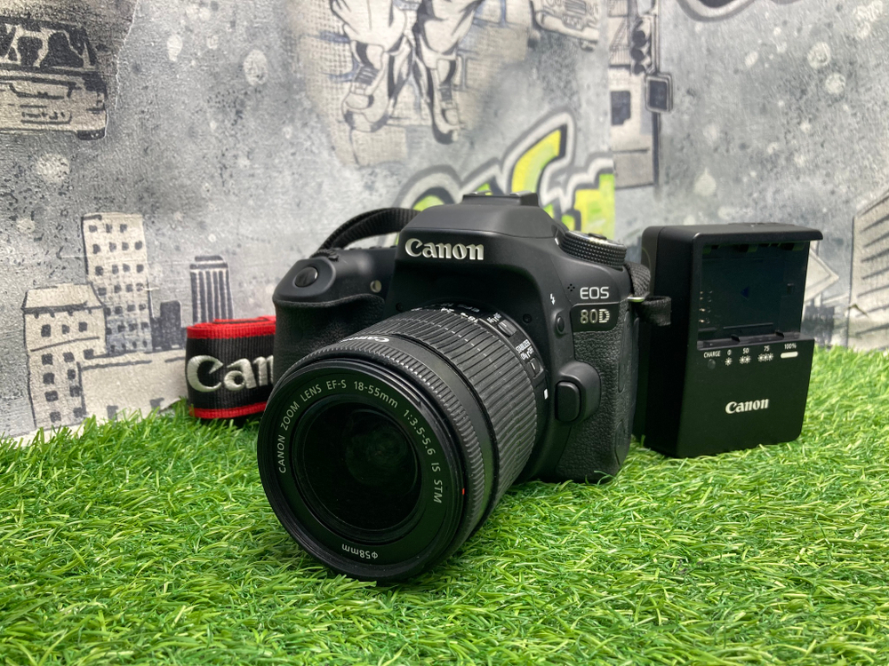 Canon 80D kit 18-55mm IS STM 20.000 кадров