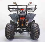Электроквадроцикл Green Camel Атакама T500 (60V 1500W R8 Дифференциал)