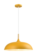 Светильник подвесной Moderli V11450-1P Hygo
